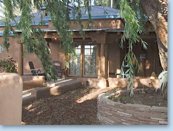 Photo of willow tree in front of building